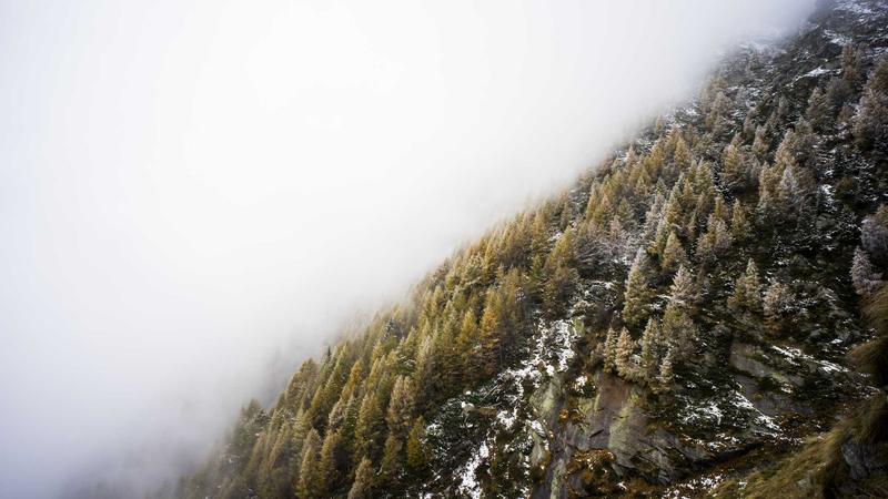 Công nghệ pin thể rắn tương lai