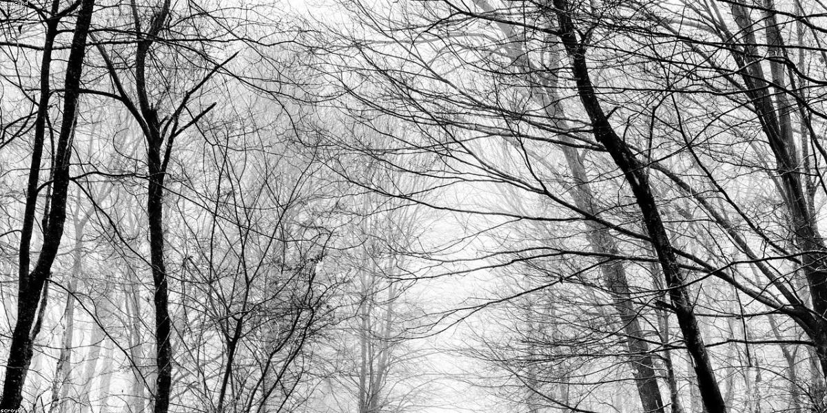 Hợp tác trong doanh nghiệp