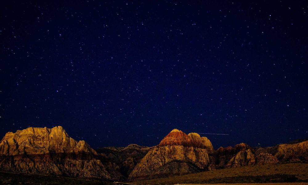 Warehouse Operation 2026 Local Brand