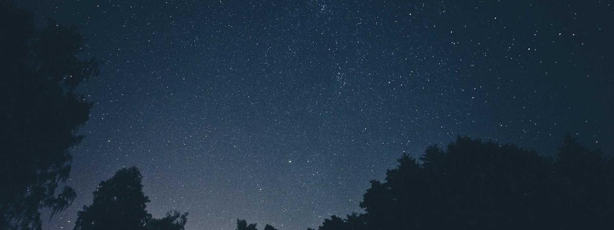 Financial comparison chart