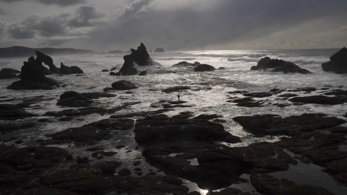 Robot phục vụ đa nhiệm 2026