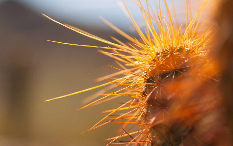 Không gian phòng ngủ sang trọng với bộ chăn ga sợi tre