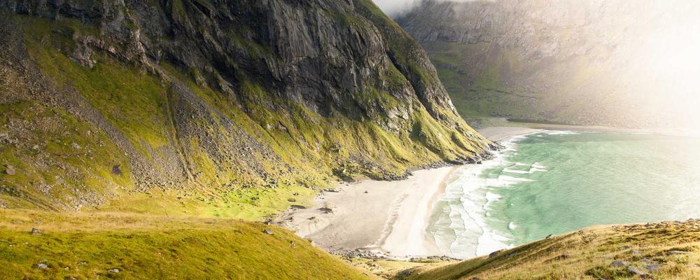 Nutrition and AI Fitness Ecosystem 2026