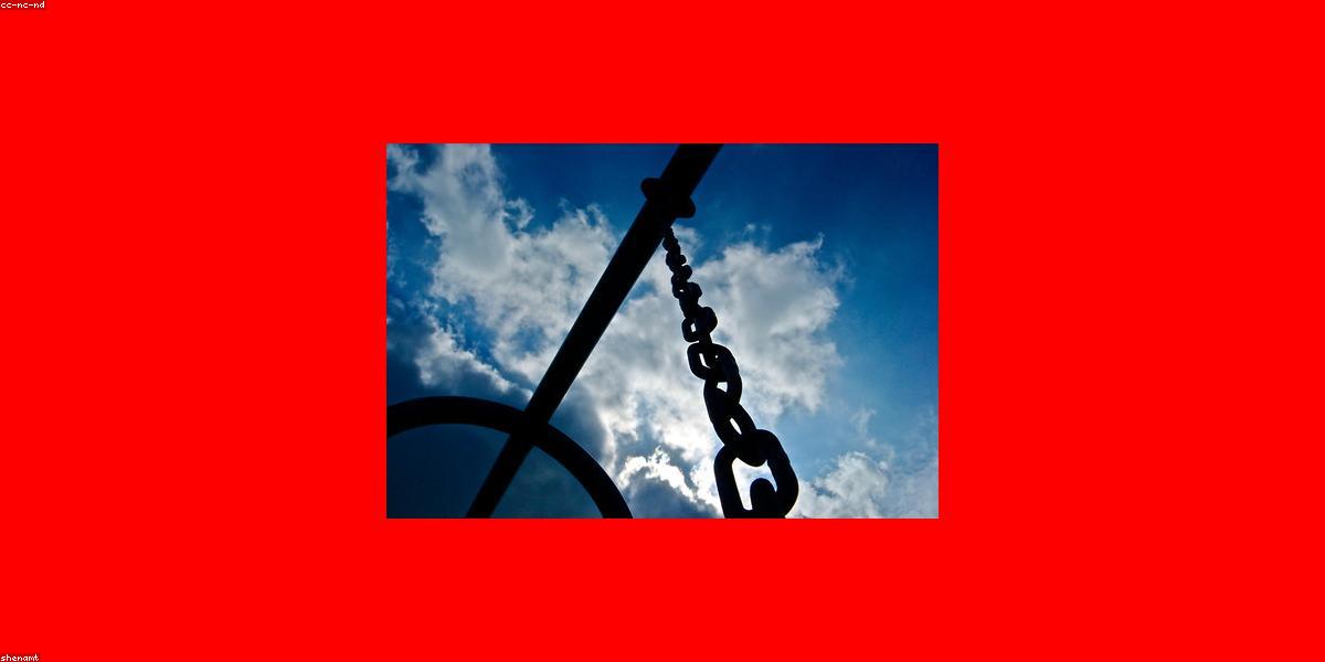 Khu vui chơi Bunny Land