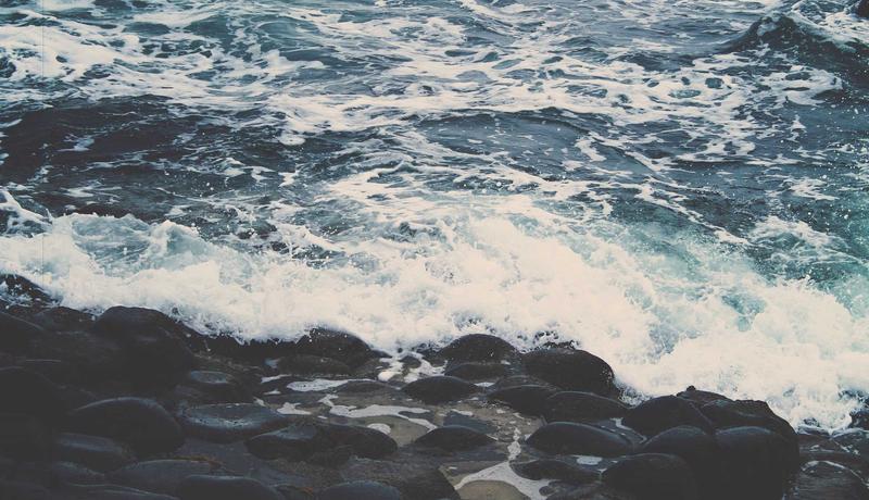 Xu hướng cây cảnh bền vững 2026