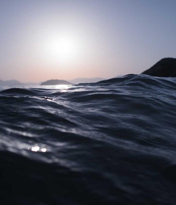 Phòng nghiên cứu AI