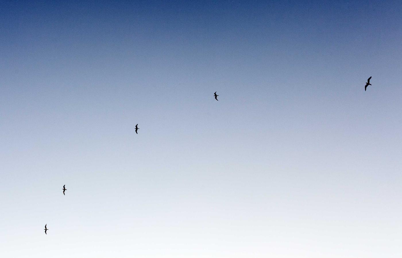 Black & White Portrait