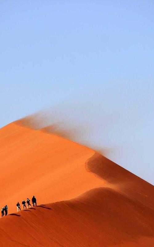 Vải may mặc 2026