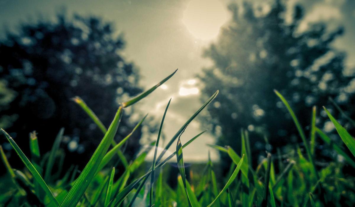 Phòng lab thiết kế mùi hương hạnh phúc