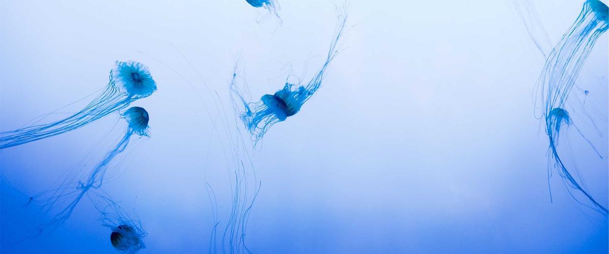 CleanTech 2026 lifestyle