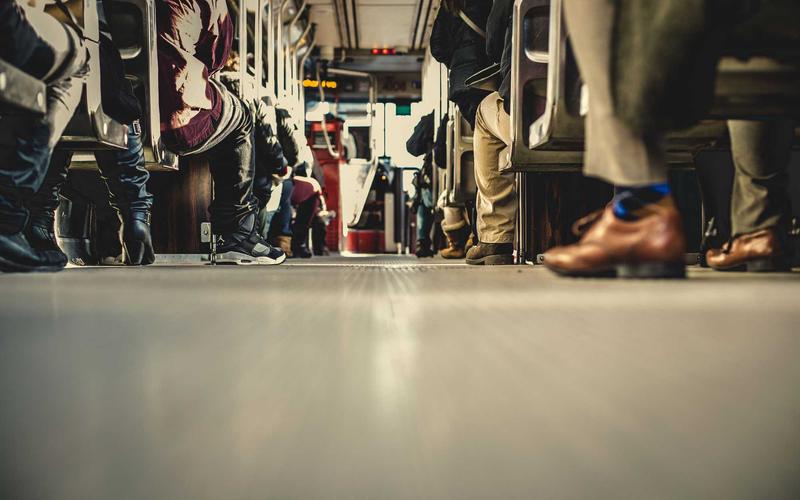 Canh tác Matcha bền vững 2026