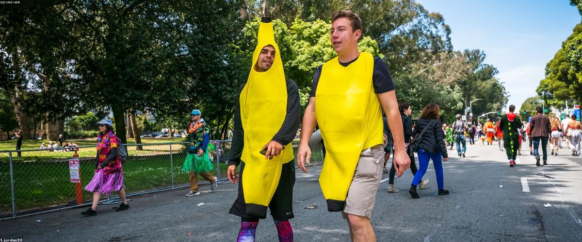 Chó chạy bộ khỏe mạnh