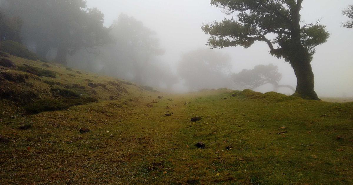 Xu hướng tấn công mạng 2024: CyberShield cảnh báo sự gia tăng của mã độc AI