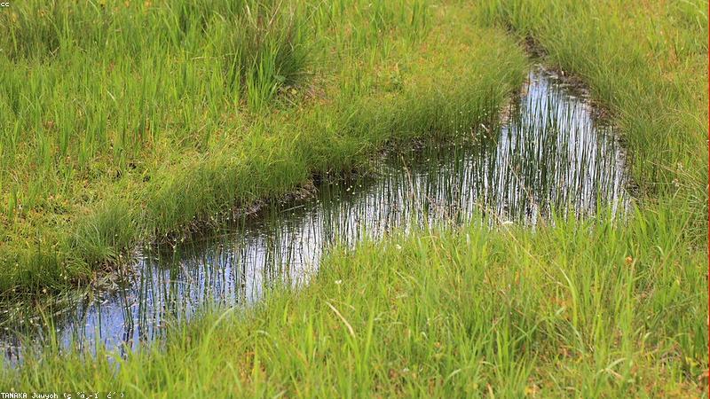 Giải quyết xung đột