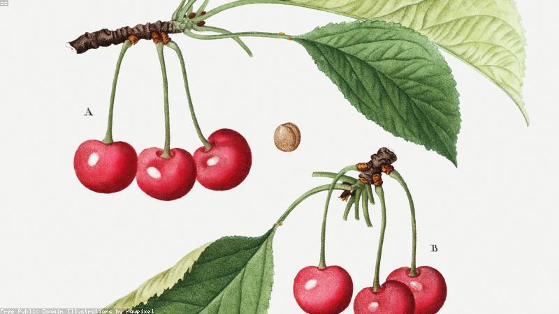 Xu hướng sống xanh bền vững 2024