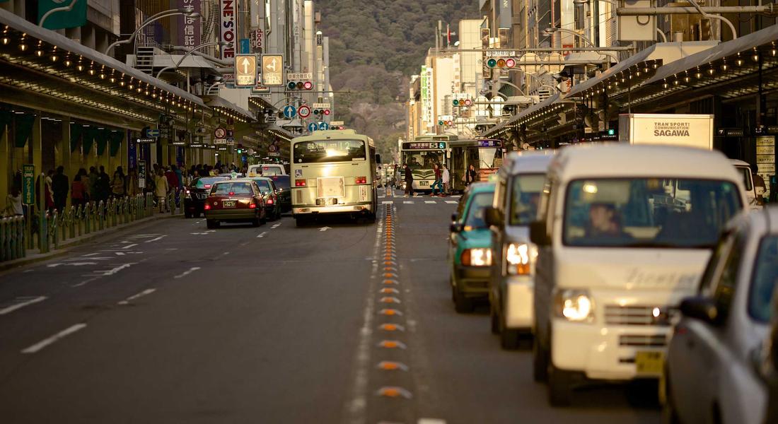 Hệ sinh thái terrarium nghệ thuật 2026