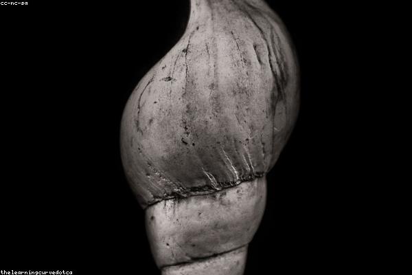 Chi tiết họa tiết