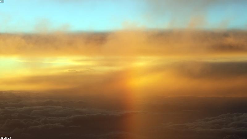 Cánh máy bay SkyHigh Airlines trên tầng mây