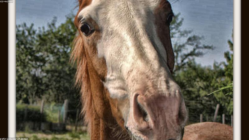 Sản xuất dệt may minh bạch