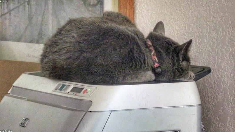 Công nghệ máy in laser hiện đại 2024