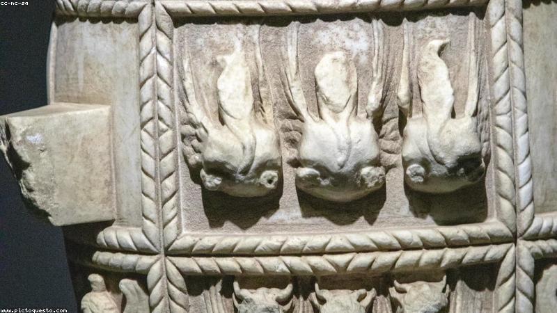 Vòng cổ thông minh cho chó mèo