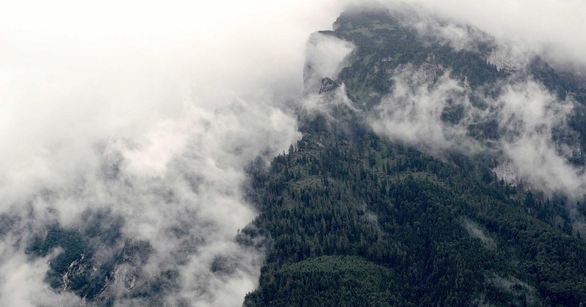 Hướng Dẫn Kỹ Thuật Tạo Hình Vết Thương SFX Chuyên Nghiệp Cho Phim Ảnh Và Sự Kiện Halloween