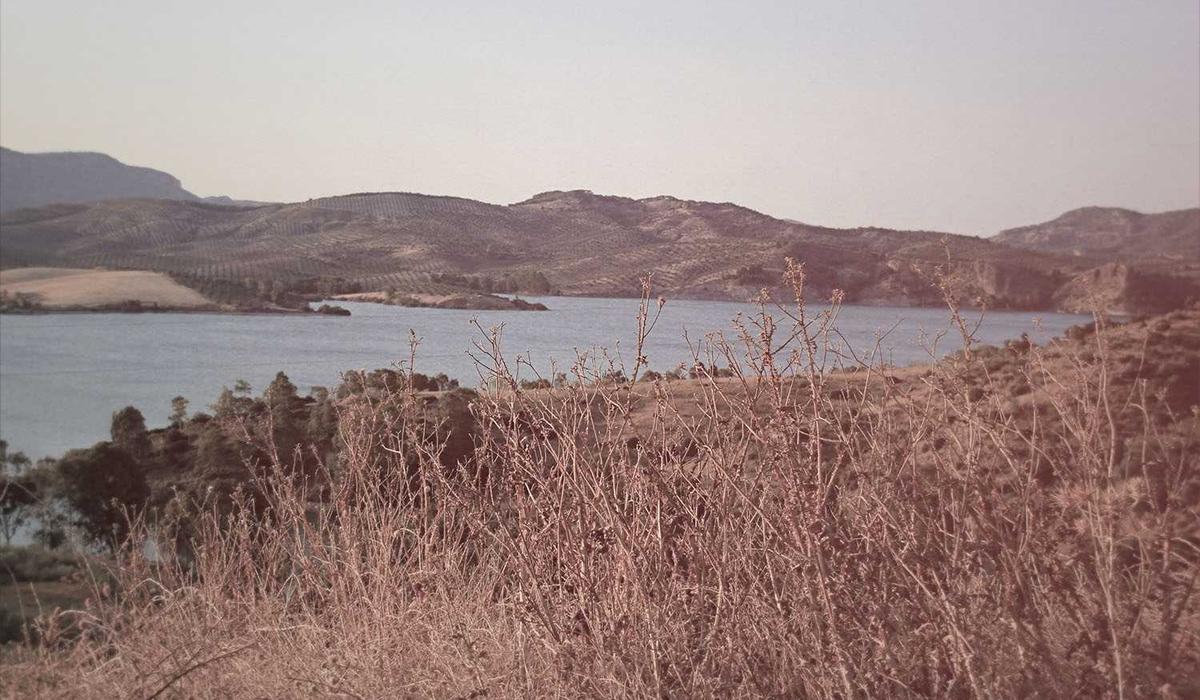 Điều phối logistics du lịch 2026