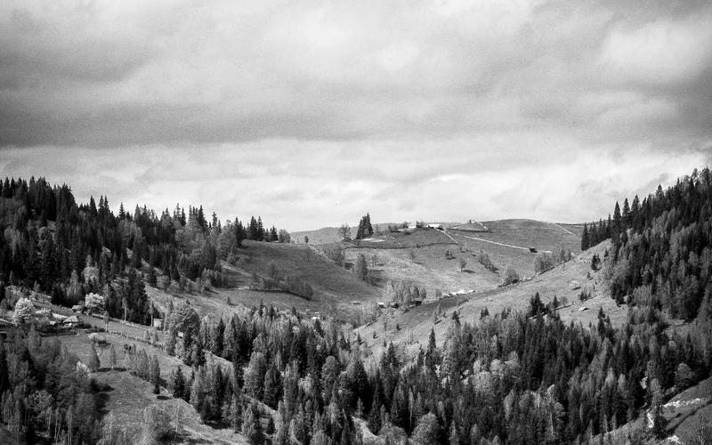 Luxury Design Interface