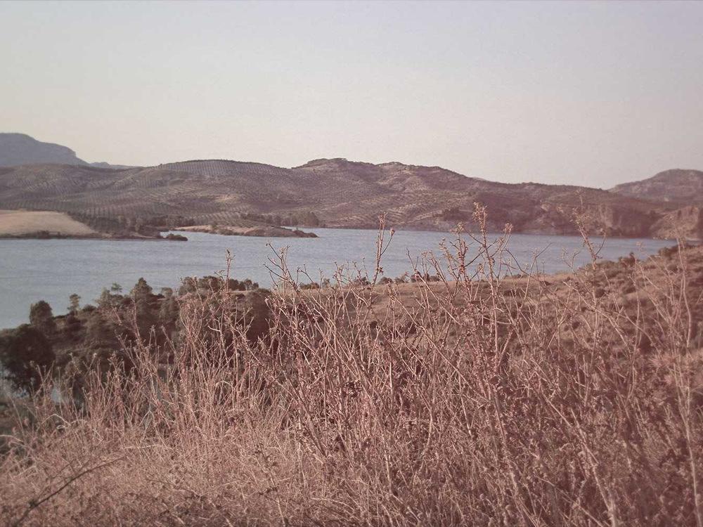 Sustainable Bio-fabrics 2026