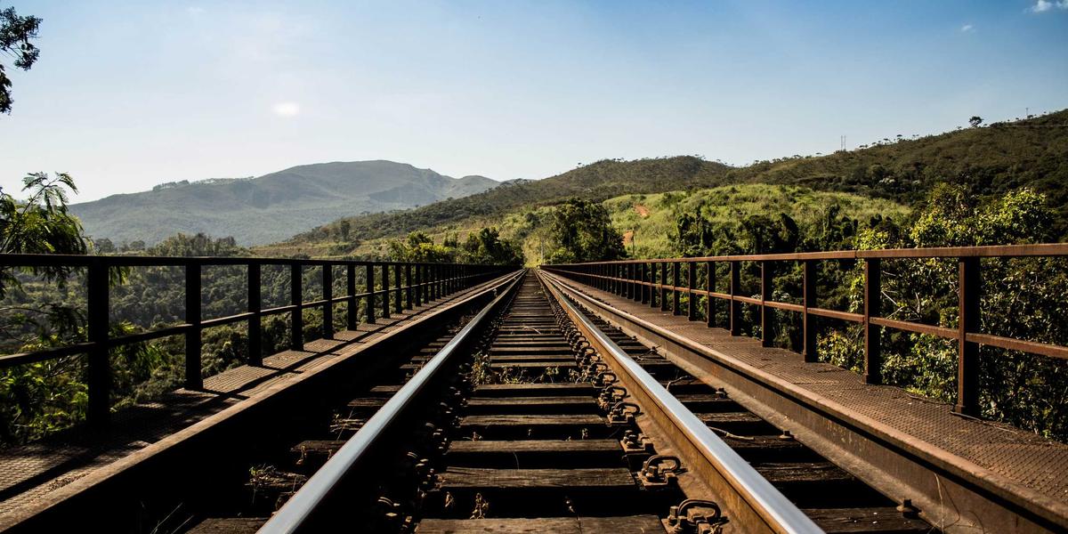 Xu hướng thiết kế Biophilic 2026