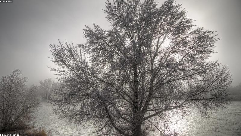 Giữ gìn vệ sinh và bảo vệ thiên nhiên khi leo núi