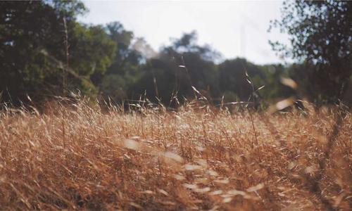 Bác sĩ giải đáp