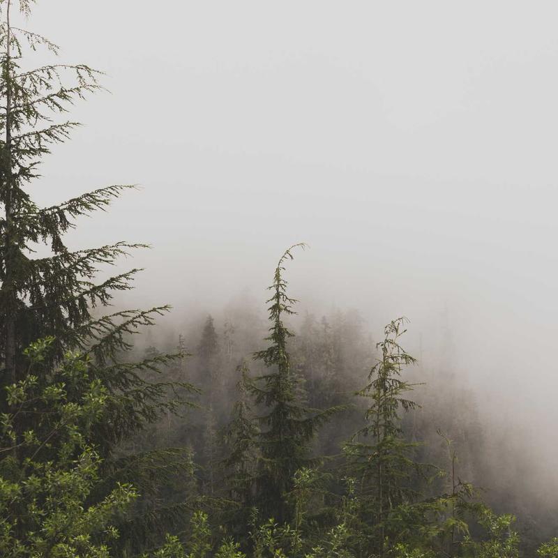 Công nghệ Bio-hacking ring 2026