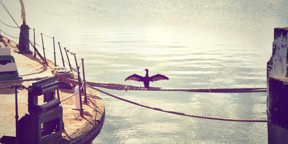 Phần ăn thực tế tại Vegan Meal Prep