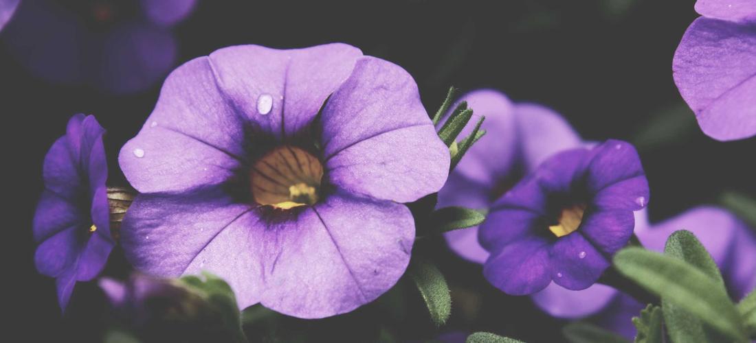 Quy trình làm việc AI