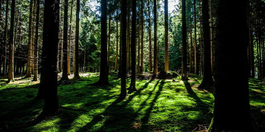 Quy trình thiết kế tinh tế