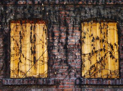 Cấu trúc gen Nano