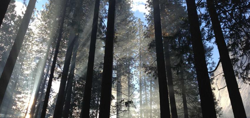 Hệ thống kiểm soát chất lượng tự động