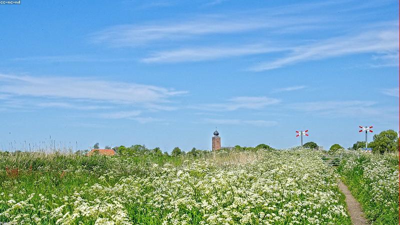 Chăm sóc dinh dưỡng cho trẻ