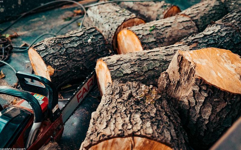 Nghệ nhân WoodCraft VN đang hoàn thiện sản phẩm gỗ thủ công