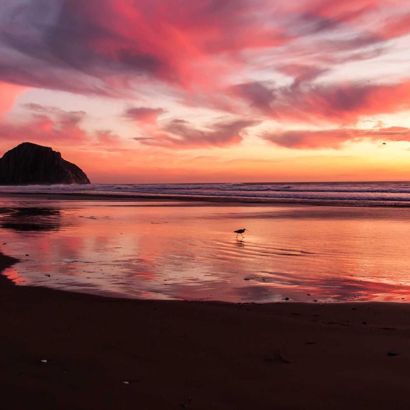 Áo Khoác Bomber Gió Unisex 4