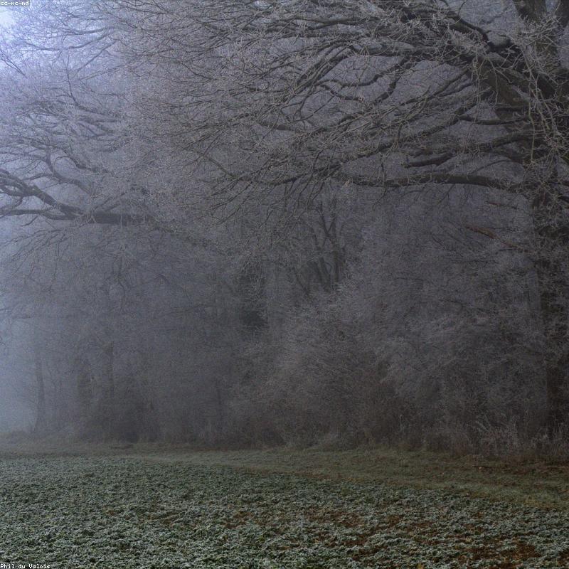 Màu Thực Phẩm Dạng Gel Wilton