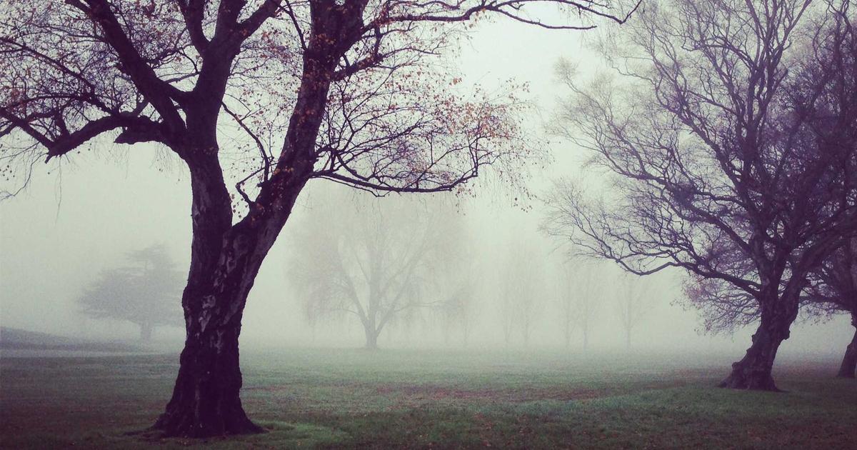 Hướng dẫn cách tận hưởng kỳ nghỉ cuối tuần hoàn hảo tại Gentle Breeze B&B