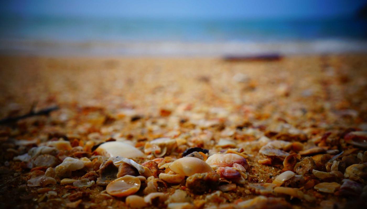 Fine Dining Bartending 2026