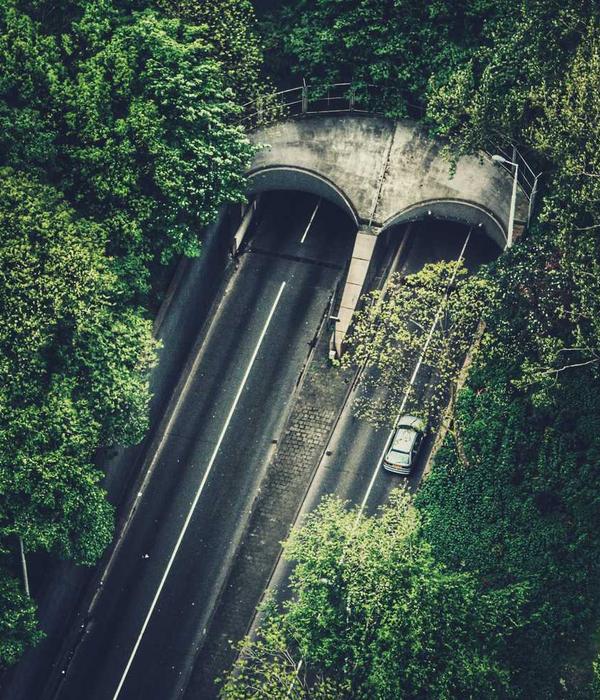 Hoa cưới tối giản