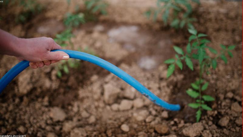 Thực phẩm thực dưỡng và mật ong