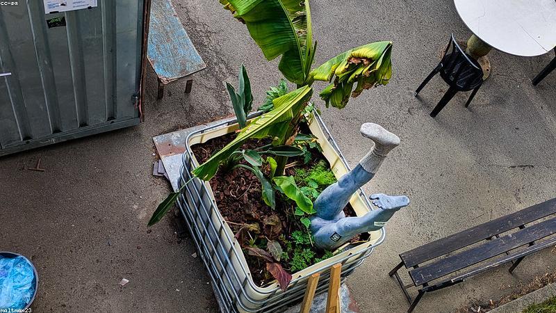 Tội phạm mạng sử dụng AI