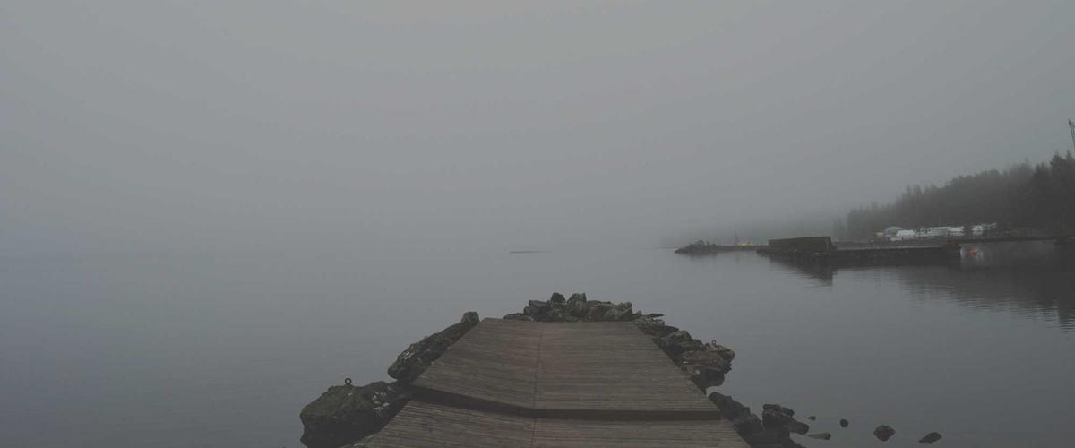 Tự động hóa doanh nghiệp 2026