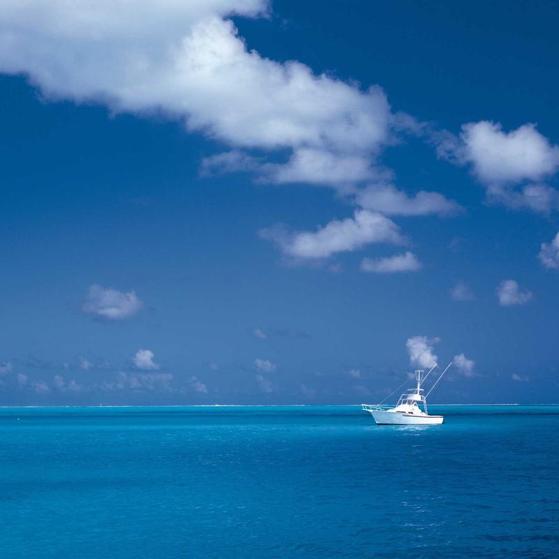 Whisky Nhật Hibiki Harmony Rượu Nhập Khẩu Cao Cấp 2026