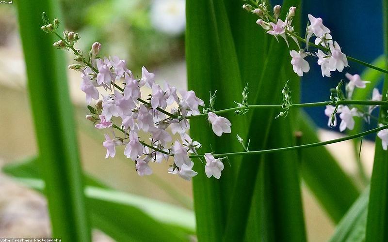 Bàn tay đặt trong tư thế thiền định